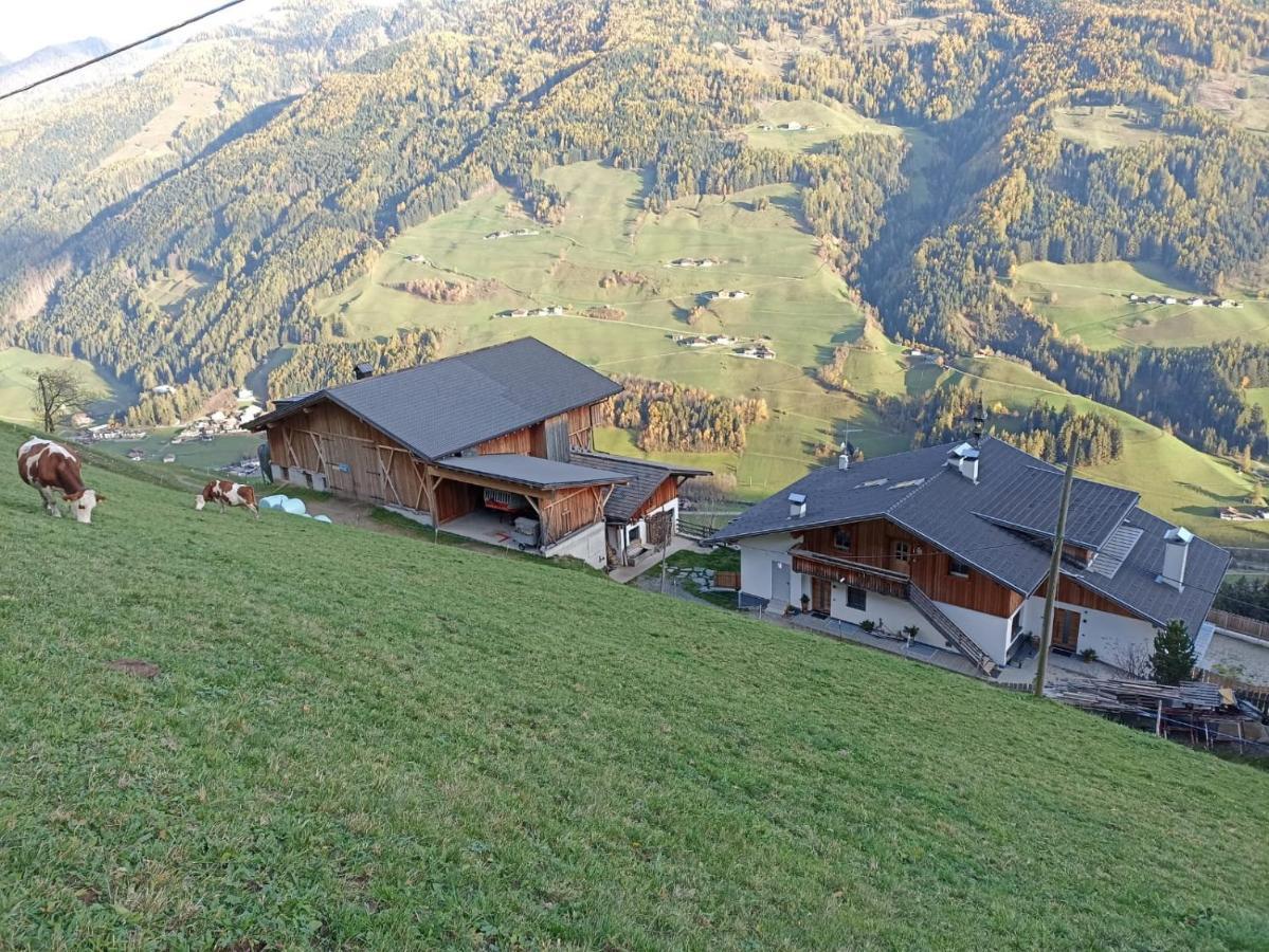 Ortnerhof Leilighet Ahrntal Eksteriør bilde