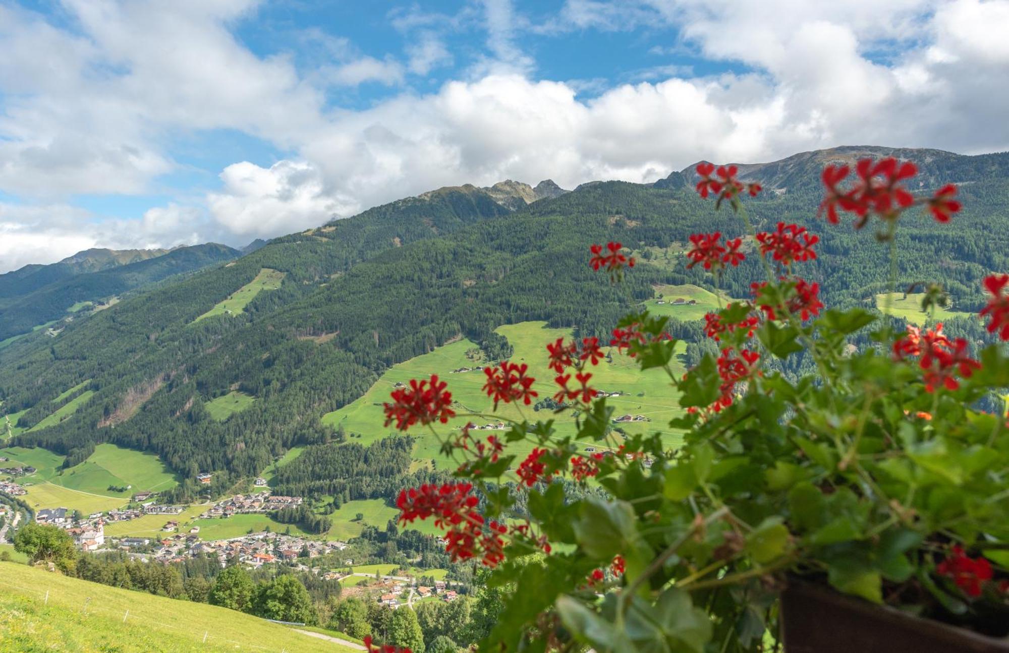 Ortnerhof Leilighet Ahrntal Eksteriør bilde
